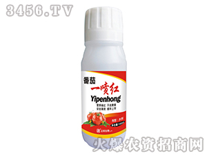 ����һ���t-���䌍�I