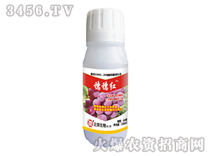 ��������t-���䌍�I