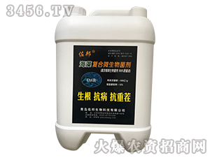 �����(f��)��΢�������-����