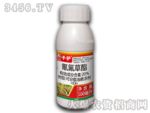 20%�������-ǧ�P-�к����_