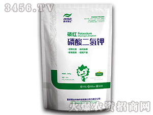 1000g��������-�׼t-���r˹�_