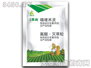 ��������݄�-���̺��e-�����S