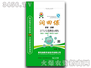 ���Ķ�ø�������27-13-8-���ﱣ-���