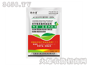 �r����������ӄ�-������-��������