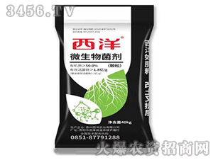 ΢�������-����-����(sh��)�I(y��)