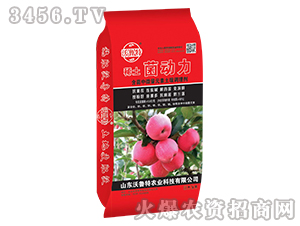 ϡ�����������O�����ã�-������