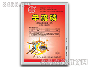 3%�������w�������t����-�r��-�����rˎ