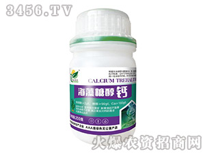 �����Ǵ��}-�����_�r-�����f��