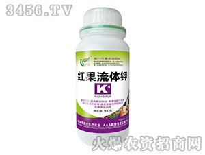 �t�����w�-�����_�r-�����f��