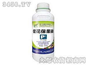 �ٻ�������-�����_�r-�����f��