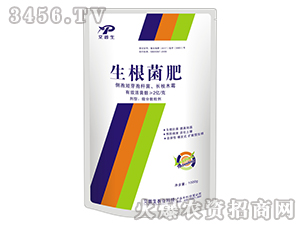 ��������-������