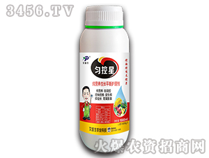 ���I�B���Lƽ���o�턩-�����-������