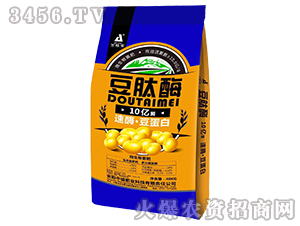 ΢�������-10�|������ø�f�،�-��ʢ�ʘI