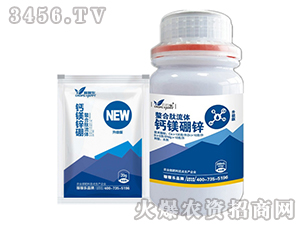 �������}���w�V���\-�ڼژ�