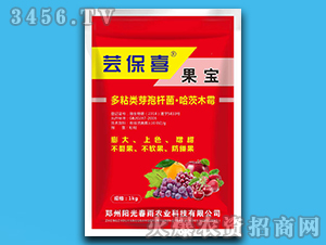 ����-�|��ϲ-ꖹⴺ��