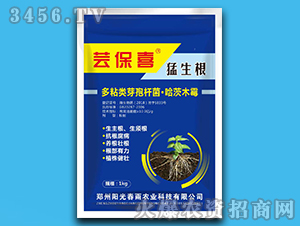 ������-�|��ϲ-ꖹⴺ��