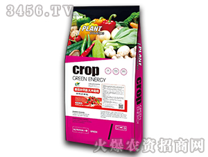 �����a(b��)�}���_ʩ��-�����f��