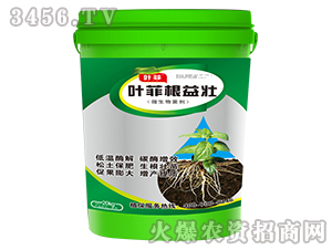 ΢�������-�~�Ƹ����-�°��r