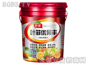 ΢�������-�~�ƃ����S-�°��r