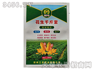 ����ǧ�-������-���̷ʘI