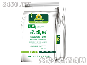 �������߾�������-�o����-�°��r