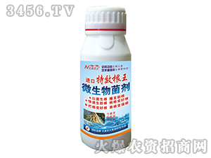 �M(j��n)�ڸ���-�����r(n��ng)��