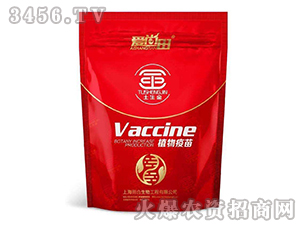 ������ֲ������-������-�������