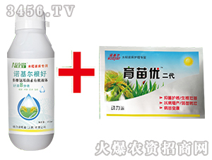 ����ô�n-�Z����