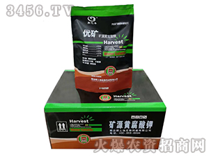 �VԴ�S�����-���V-�G����