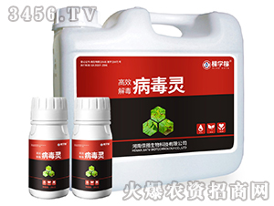 �����`-�ÌW��