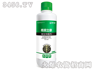 ��������-�ÌW��