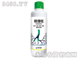 �����������lʽ������-�ÌW��