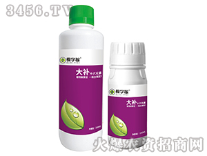 ���aʮ��Ԫ��-�ÌW��