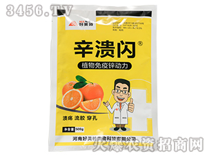 ֲ�������\����-�����W-������