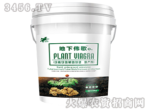 ���K�o���a��-������1̖-����������Դ