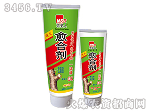 ���τ�-�rʥ��