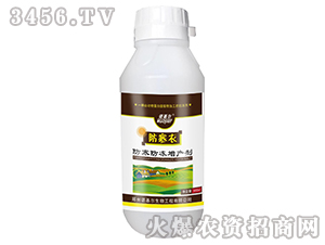 ������-�Z����