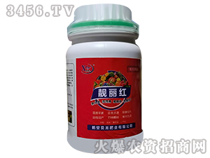 �n���t-ؐ���ʘI