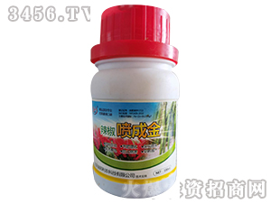 �������ɽ�-ؐ���ʘI