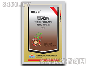 15%�������w����-�P�����-�P���r(n��ng)