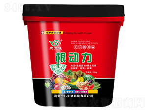 ������-������-һ������