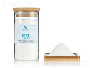 ���ģ�NMTA��-�������