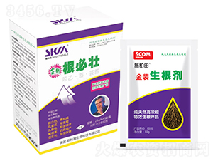 ������+���؉�-ʩ����-˹��ķ