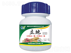 ������������÷�-����-���䌍�I