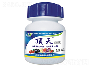 ������������÷�-���-���䌍�I