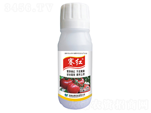 ���Ѵ߼t�~���-ِ�t-���䌍�I