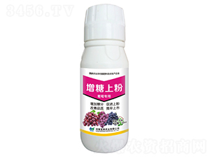 ���������Ϸ�-���䌍�I