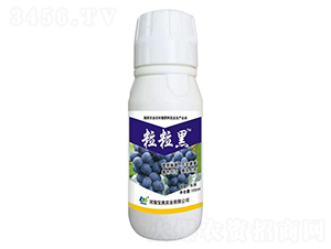 ���ь����~���-������-���䌍�I