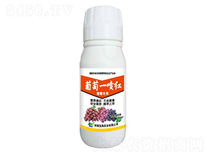 ����һ���t-���䌍�I