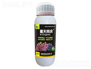 ���Ѵ߼t��-����ͬ�c-���䌍�I